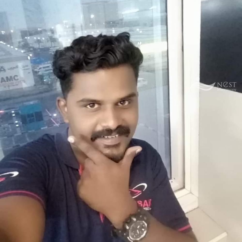 NANDHU SREEKUMAR